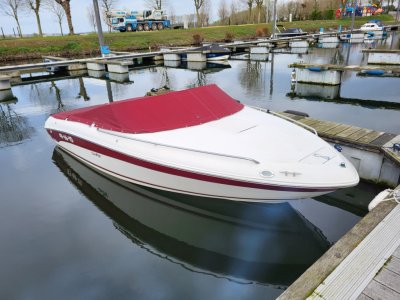 Sea Ray 190