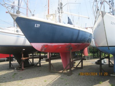 Koopmans 31 Nova (project)